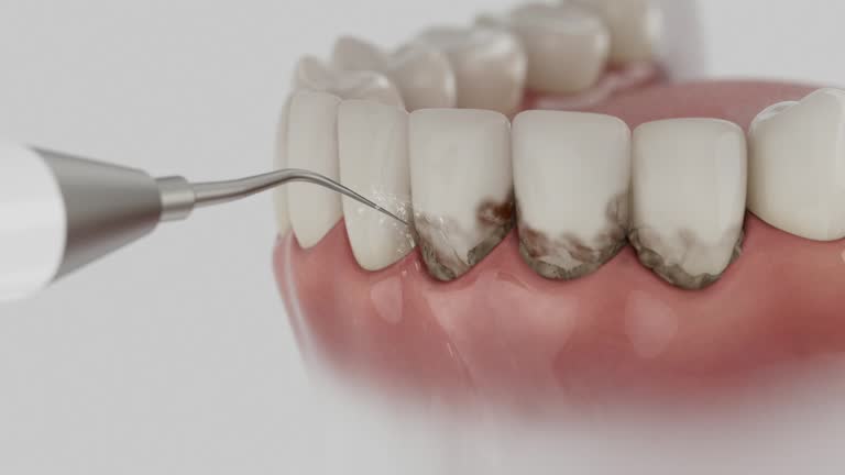 Reliable Dental contractor in Dayton, IN by Dentist Open Now